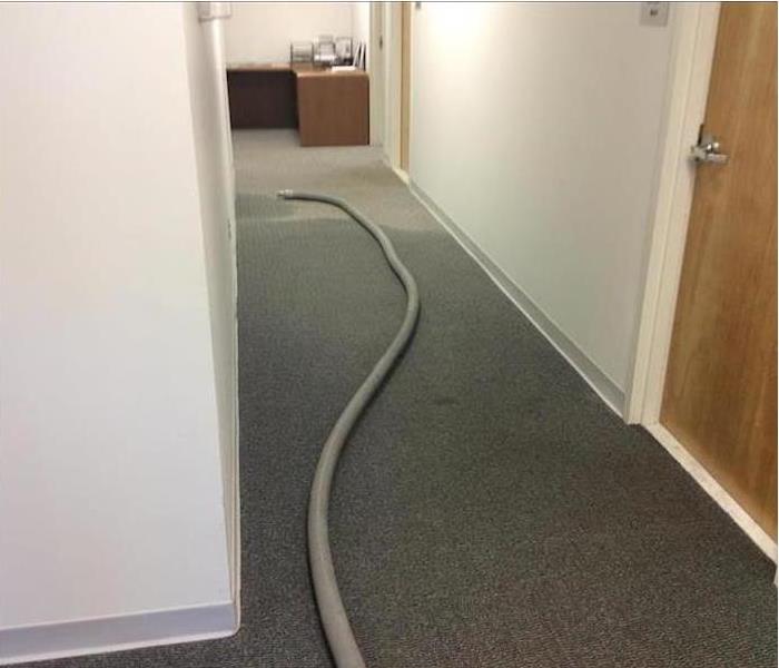 Carpeted hallway with a hose 