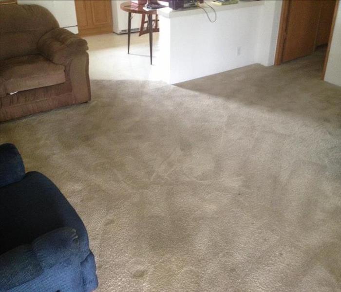 Fresh vacuumed tan carpet in a living room 