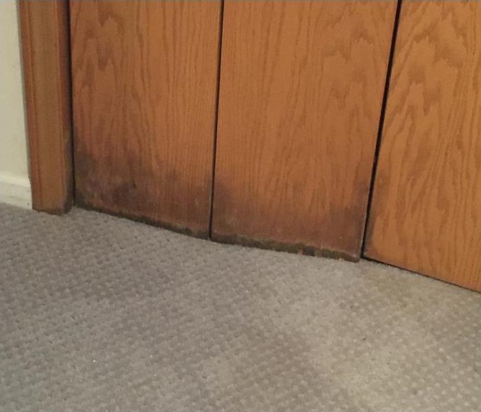water and mold damage on floor and wood closet door